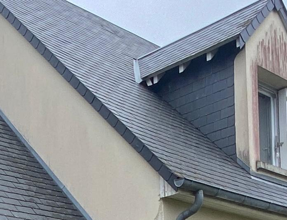 43623610-4523-4f20-b5b5-b7aaae2990ef