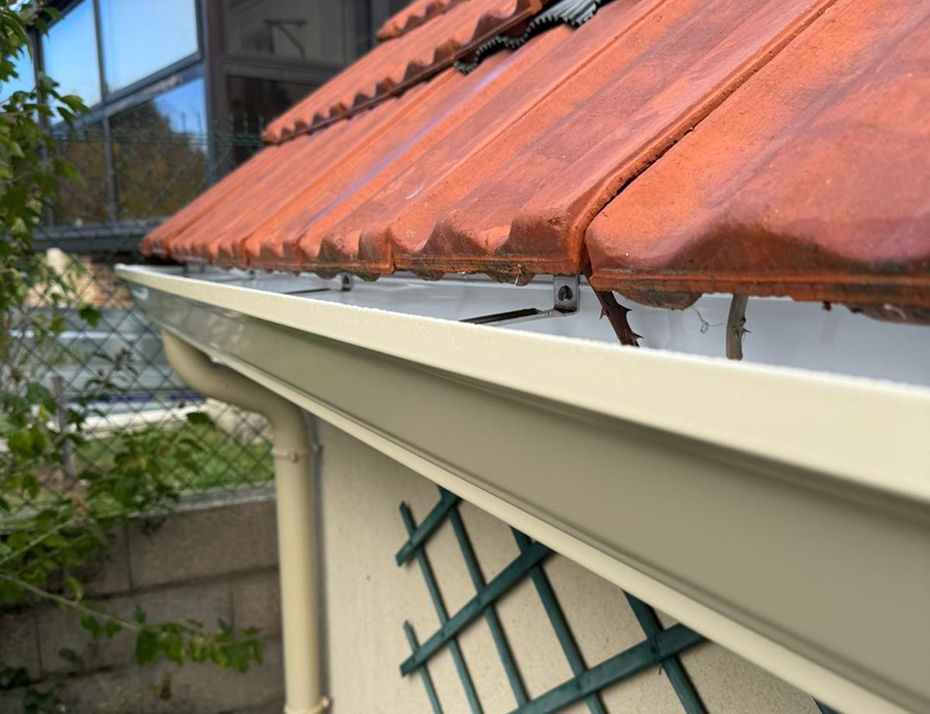 6e427e66-40fb-4f57-8c03-7f3e8adce966